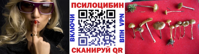 Купить  Сретенск  Псилоцибиновые грибы Psilocybine cubensis 